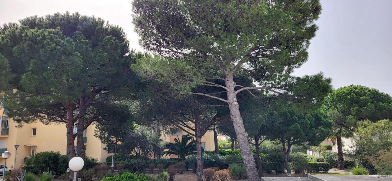 La Cigale De Mer A 100 M De La Plage Et Du Centre Ville Du Grau Du Roi 勒格罗-迪鲁瓦 外观 照片