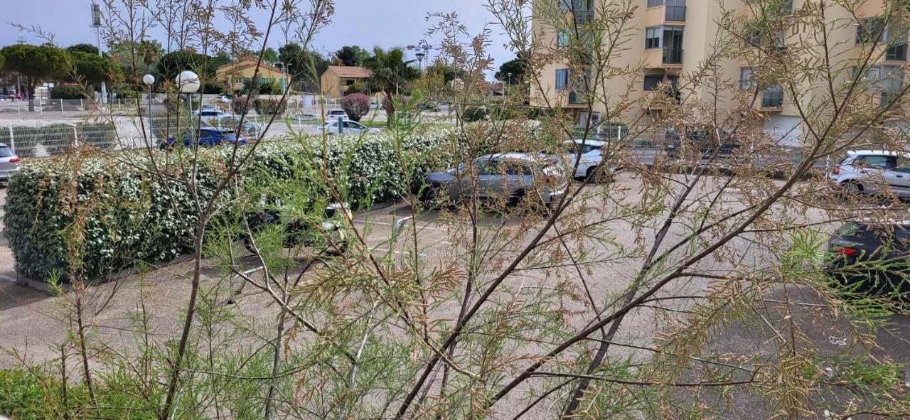 La Cigale De Mer A 100 M De La Plage Et Du Centre Ville Du Grau Du Roi 勒格罗-迪鲁瓦 外观 照片